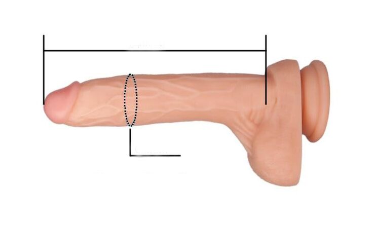 如何测量阴茎尺寸